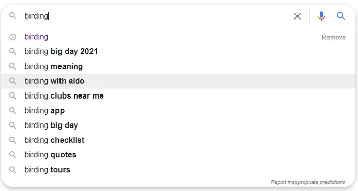 A list of searches  stemming from the query "birding"