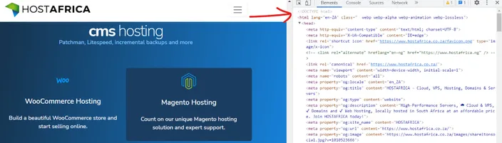 screenshot HostAfrica Home webpage HTML