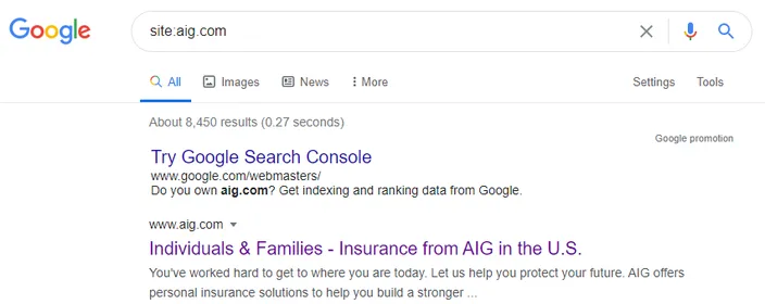 Screenshot of site search results on Google