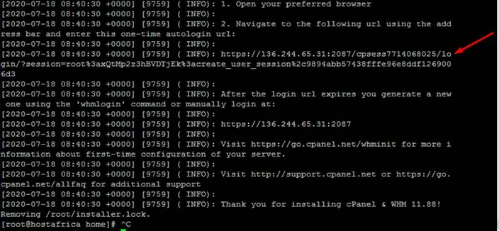 terminal output