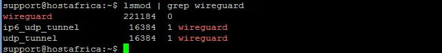 terminal output