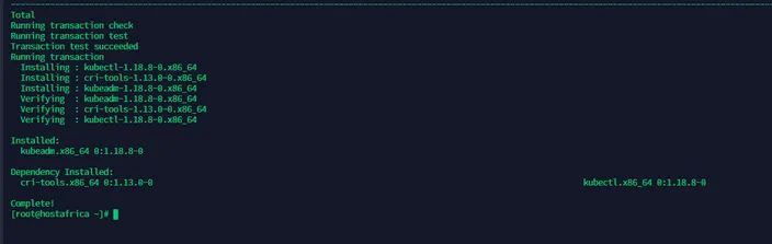 terminal output