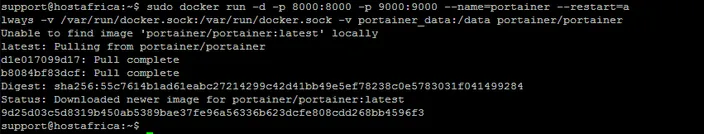 terminal output