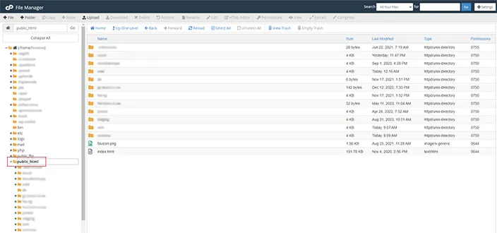 public html location in cPanel