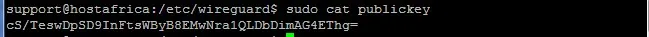terminal output