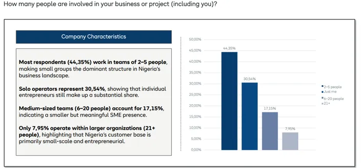 HostAfrica SMB Insight Lab graph of Nigerian customer company sizes