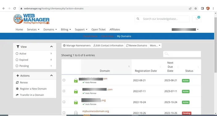 Client area My Domains list showing registered domains with their dates and status