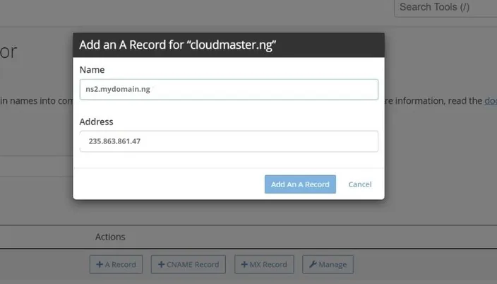 Add an A Record dialog with ns2 as the name and an IP address in the address field