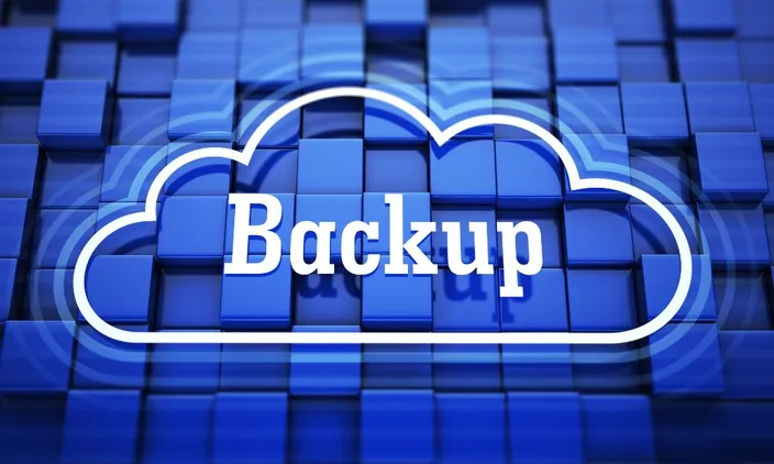 wordpress Backup and disaster recovery