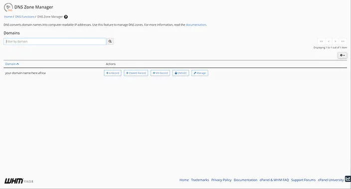 WHM DNS Zone Manager Dashboard